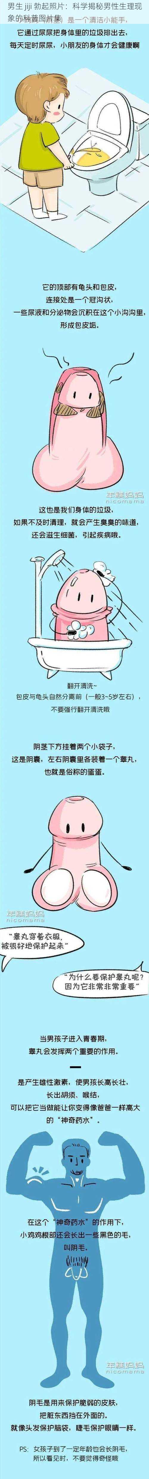 男生 jiji 勃起照片：科学揭秘男性生理现象的科普图片集