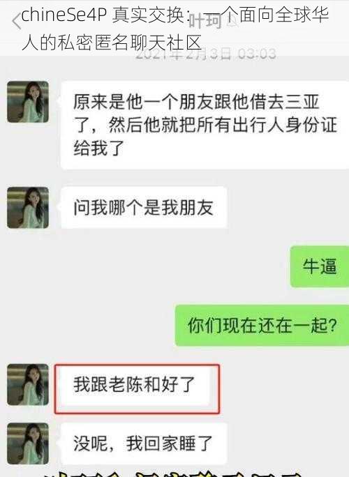 chineSe4P 真实交换：一个面向全球华人的私密匿名聊天社区