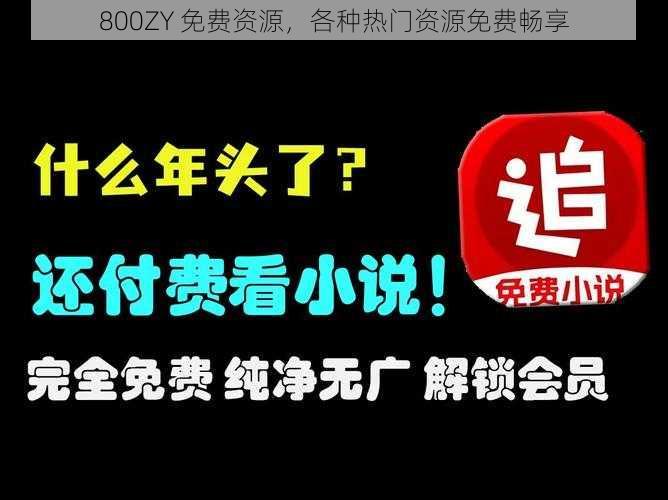 800ZY 免费资源，各种热门资源免费畅享