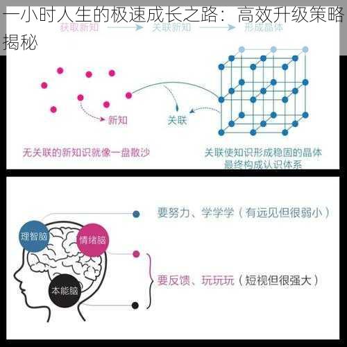 一小时人生的极速成长之路：高效升级策略揭秘