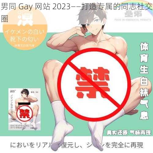 男同 Gay 网站 2023——打造专属的同志社交圈