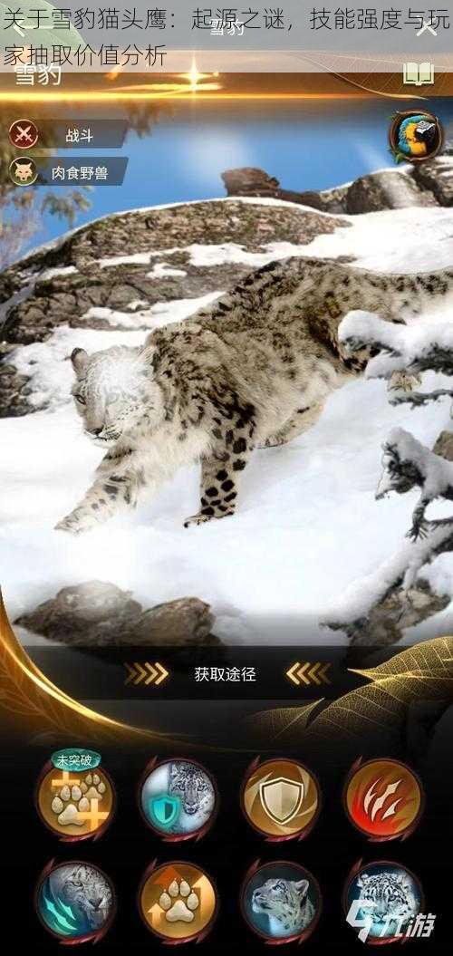 关于雪豹猫头鹰：起源之谜，技能强度与玩家抽取价值分析