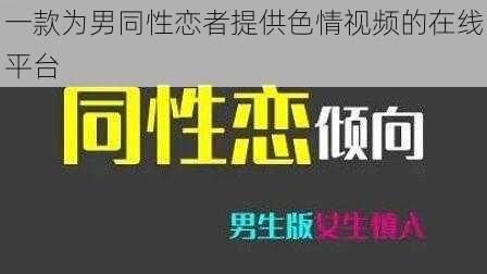 一款为男同性恋者提供色情视频的在线平台