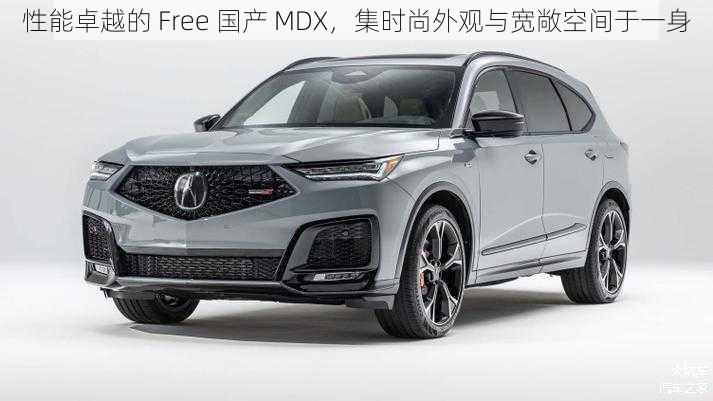 性能卓越的 Free 国产 MDX，集时尚外观与宽敞空间于一身