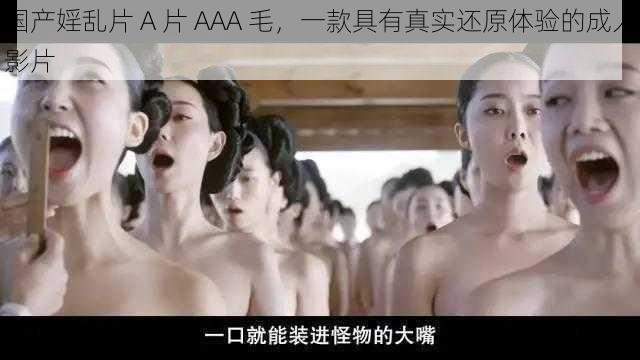 国产婬乱片 A 片 AAA 毛，一款具有真实还原体验的成人影片