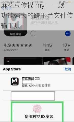 麻花豆传禖 my：一款功能强大的跨平台文件传输工具