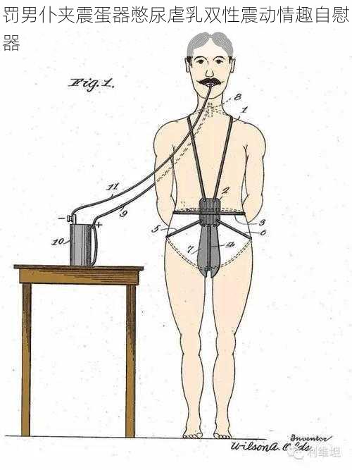 罚男仆夹震蛋器憋尿虐乳双性震动情趣自慰器