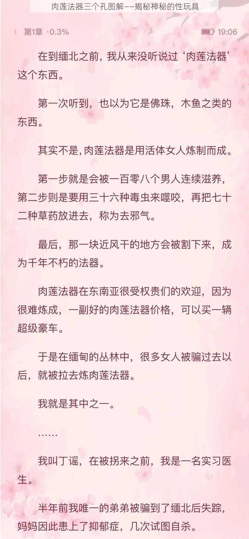 肉莲法器三个孔图解——揭秘神秘的性玩具