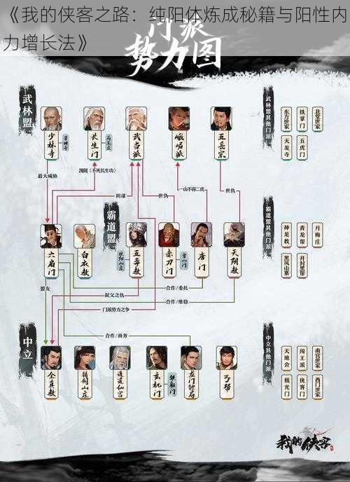 《我的侠客之路：纯阳体炼成秘籍与阳性内力增长法》