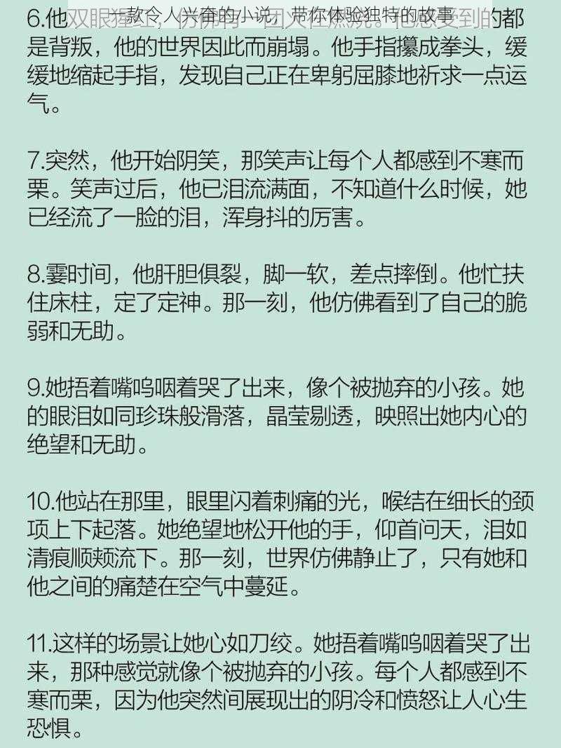 一款令人兴奋的小说，带你体验独特的故事