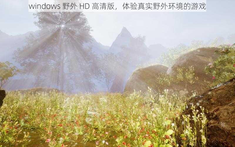 windows 野外 HD 高清版，体验真实野外环境的游戏