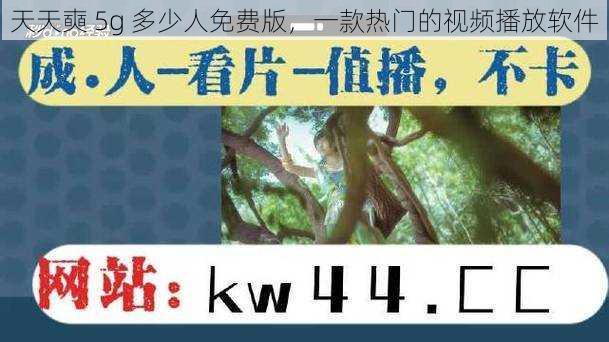 天天奭 5g 多少人免费版，一款热门的视频播放软件