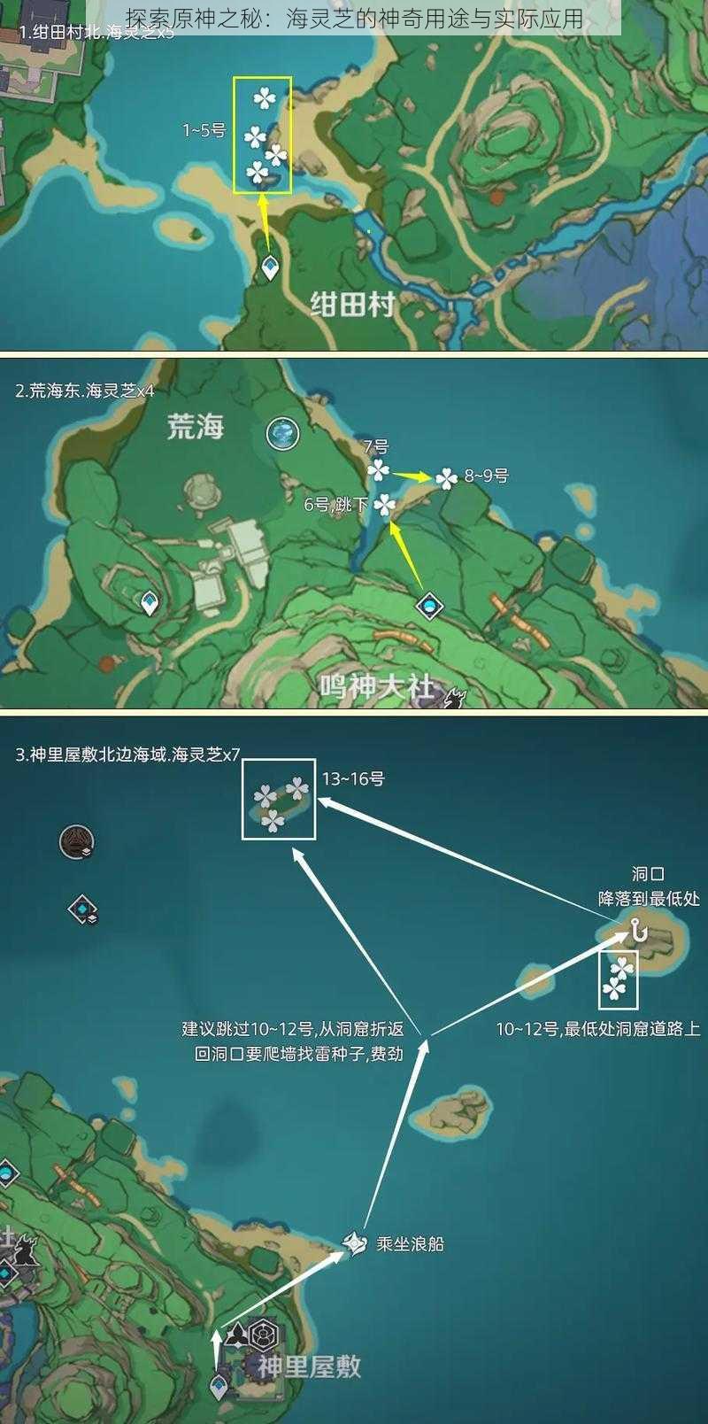 探索原神之秘：海灵芝的神奇用途与实际应用