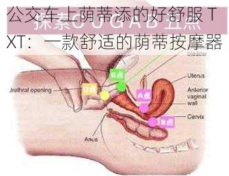 公交车上荫蒂添的好舒服 TXT：一款舒适的荫蒂按摩器