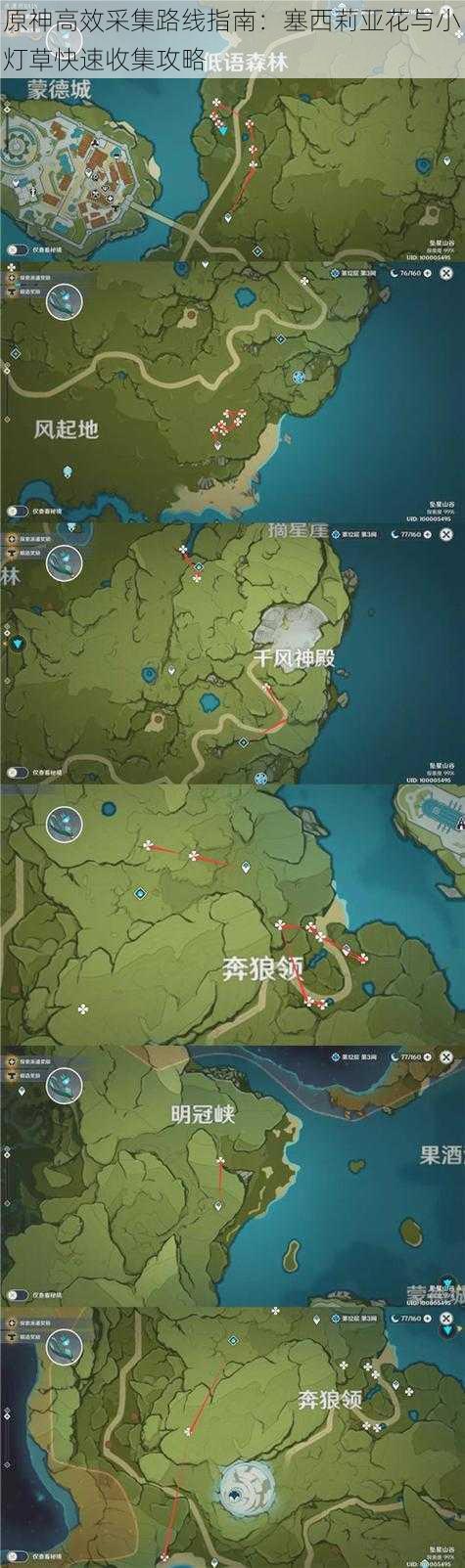 原神高效采集路线指南：塞西莉亚花与小灯草快速收集攻略