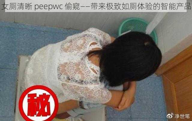 女厕清晰 peepwc 偷窥——带来极致如厕体验的智能产品