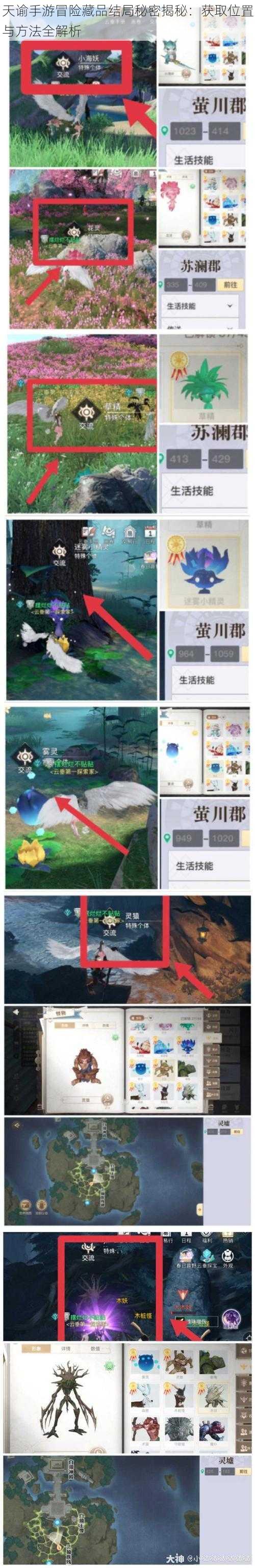 天谕手游冒险藏品结局秘密揭秘：获取位置与方法全解析