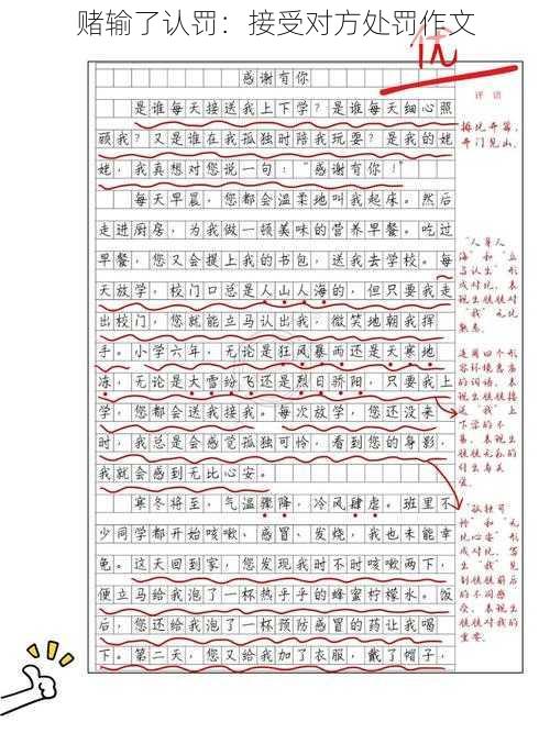 赌输了认罚：接受对方处罚作文