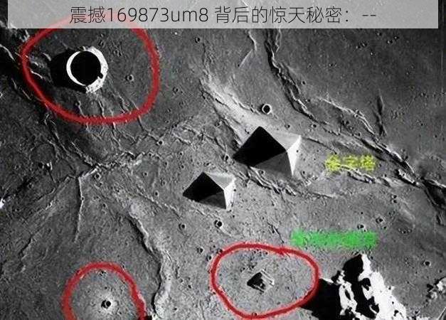 震撼169873um8 背后的惊天秘密：--