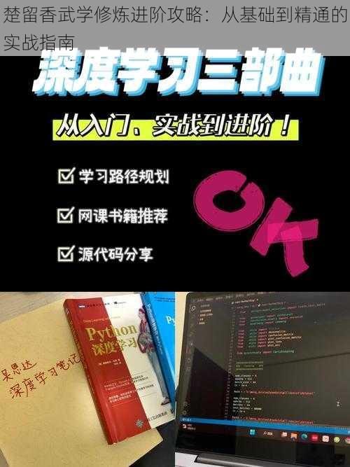 楚留香武学修炼进阶攻略：从基础到精通的实战指南