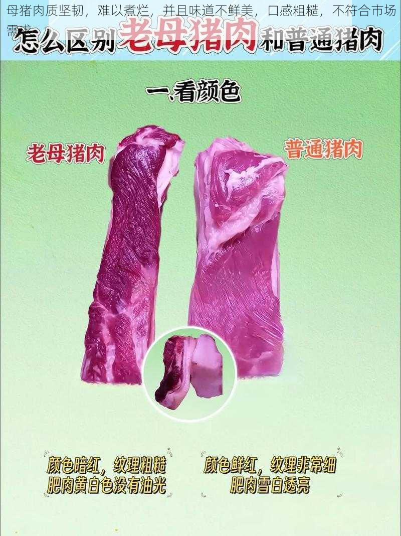 母猪肉质坚韧，难以煮烂，并且味道不鲜美，口感粗糙，不符合市场需求