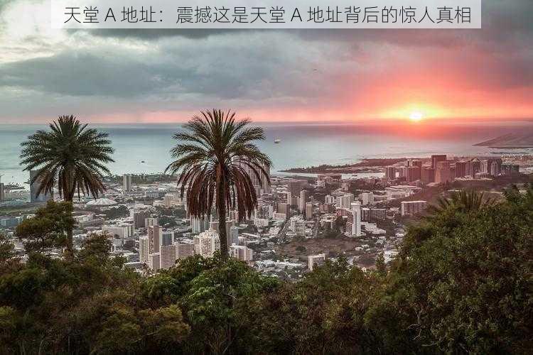 天堂 A 地址：震撼这是天堂 A 地址背后的惊人真相