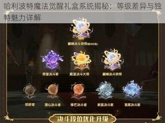 哈利波特魔法觉醒礼盒系统揭秘：等级差异与独特魅力详解