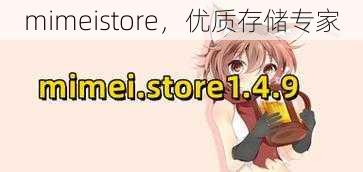 mimeistore，优质存储专家