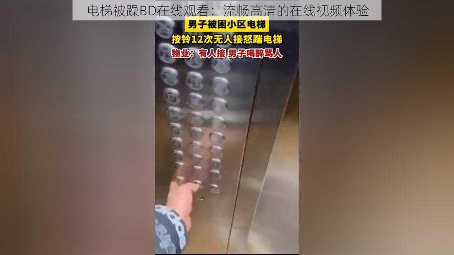 电梯被躁BD在线观看：流畅高清的在线视频体验