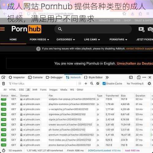 成人网站 Pornhub 提供各种类型的成人视频，满足用户不同需求