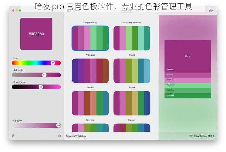 暗夜 pro 官网色板软件，专业的色彩管理工具