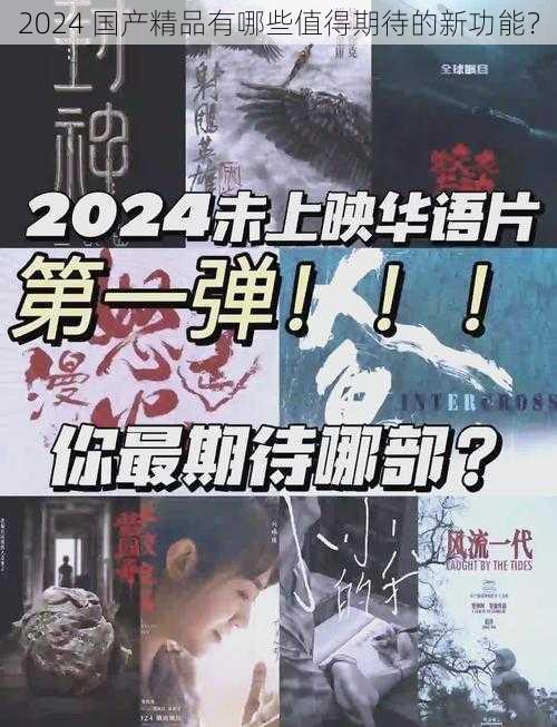 2024 国产精品有哪些值得期待的新功能？