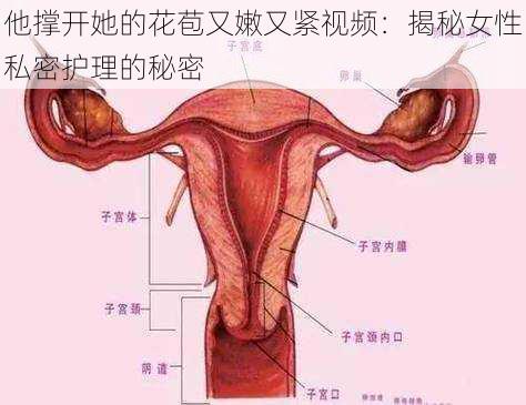 他撑开她的花苞又嫩又紧视频：揭秘女性私密护理的秘密