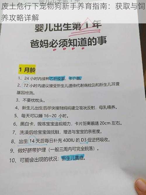 废土危行下宠物狗新手养育指南：获取与饲养攻略详解