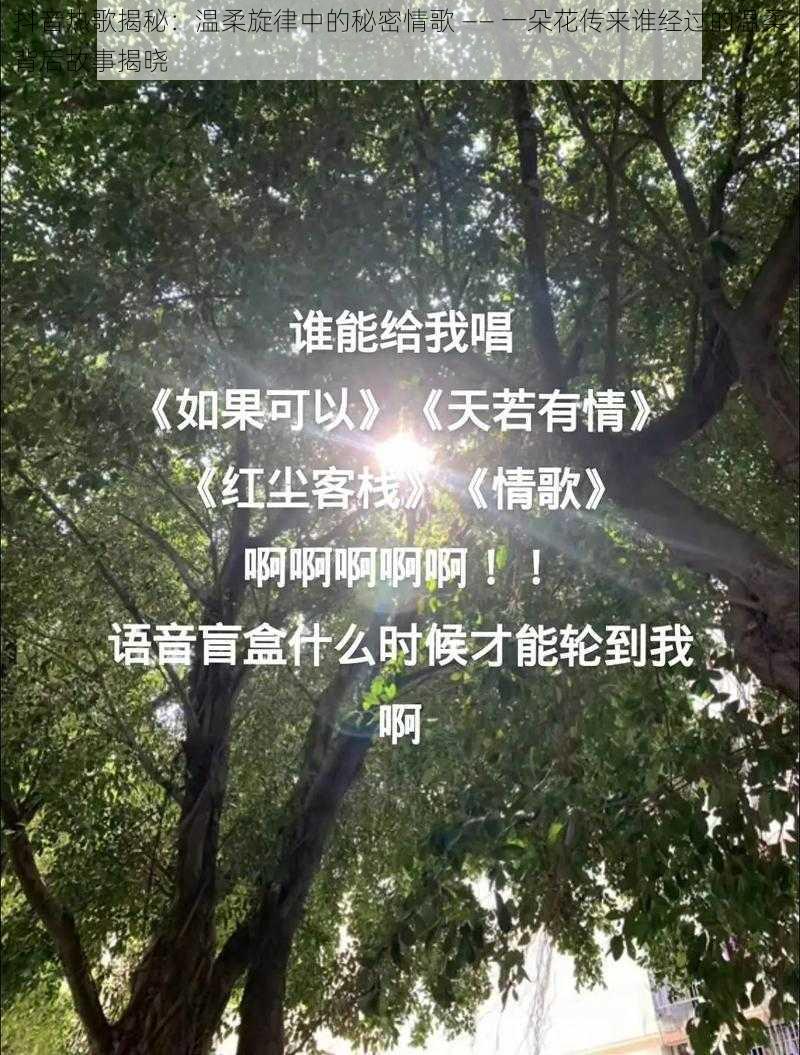 抖音热歌揭秘：温柔旋律中的秘密情歌 —— 一朵花传来谁经过的温柔背后故事揭晓