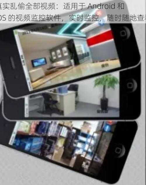 真实乱偷全部视频：适用于 Android 和 iOS 的视频监控软件，实时监控，随时随地查看