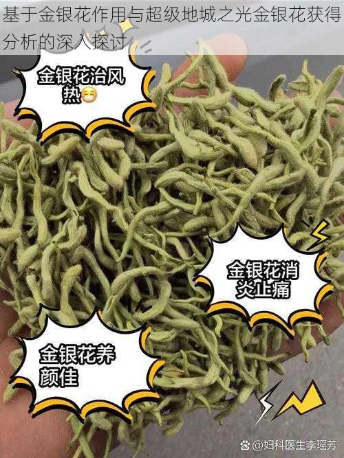 基于金银花作用与超级地城之光金银花获得分析的深入探讨