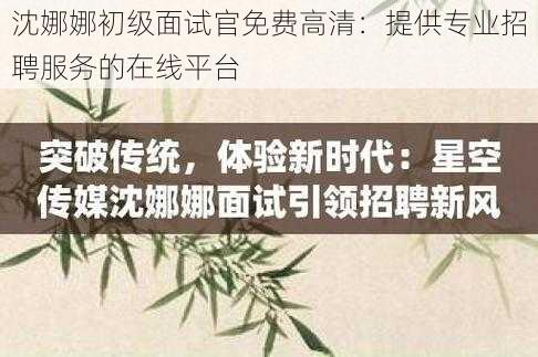 沈娜娜初级面试官免费高清：提供专业招聘服务的在线平台