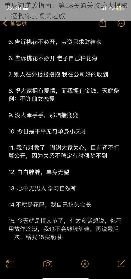 单身狗逆袭指南：第28关通关攻略大揭秘，拯救你的闯关之旅