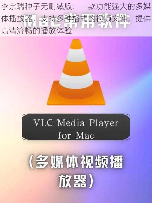李宗瑞种子无删减版：一款功能强大的多媒体播放器，支持多种格式的视频文件，提供高清流畅的播放体验