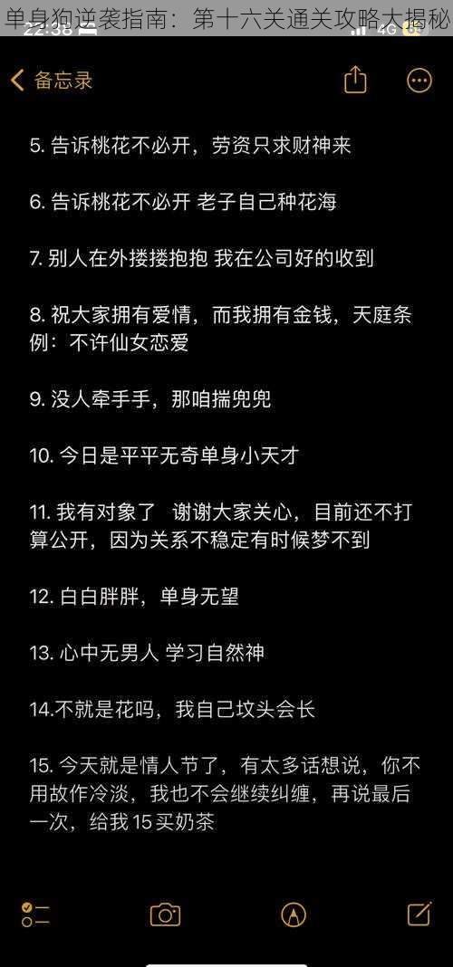 单身狗逆袭指南：第十六关通关攻略大揭秘