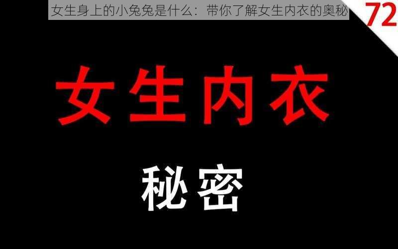 女生身上的小兔兔是什么：带你了解女生内衣的奥秘