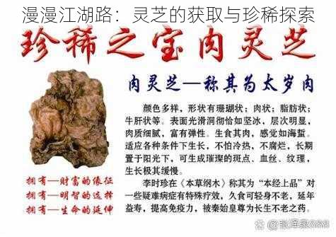 漫漫江湖路：灵芝的获取与珍稀探索