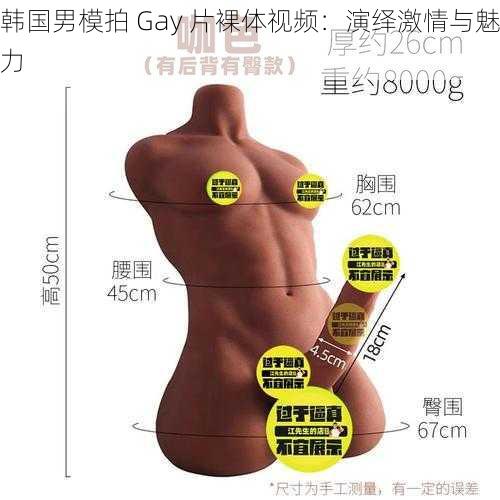 韩国男模拍 Gay 片裸体视频：演绎激情与魅力