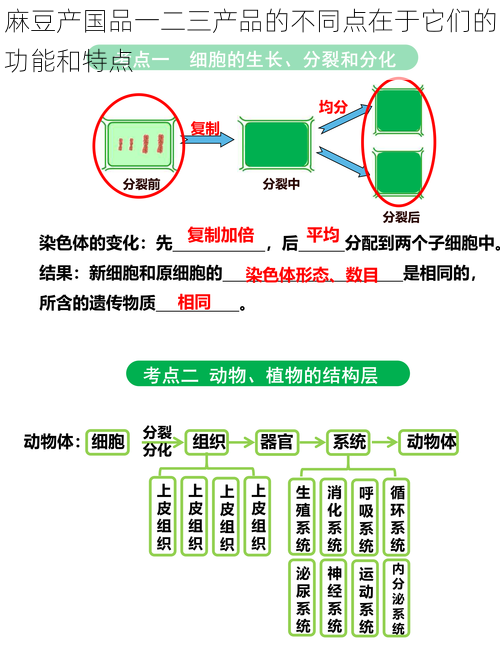 麻豆产国品一二三产品的不同点在于它们的功能和特点