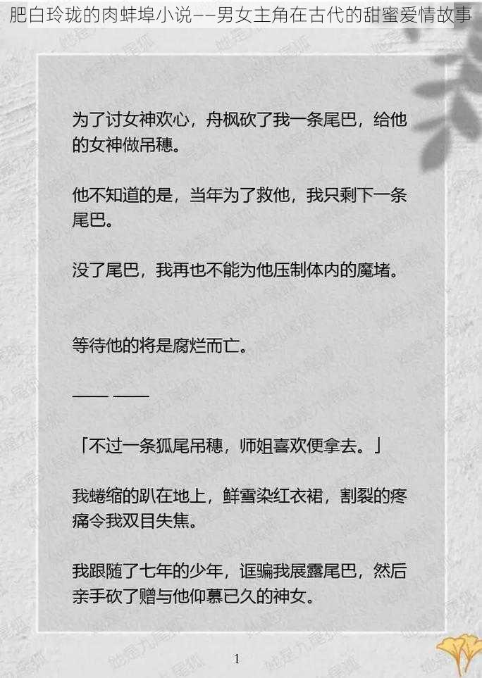 肥白玲珑的肉蚌埠小说——男女主角在古代的甜蜜爱情故事