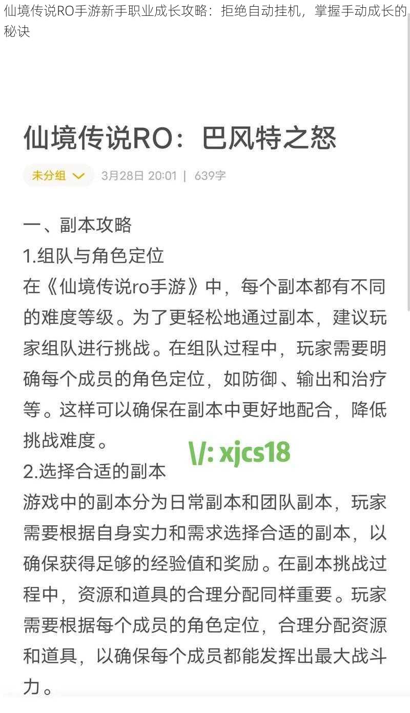 仙境传说RO手游新手职业成长攻略：拒绝自动挂机，掌握手动成长的秘诀