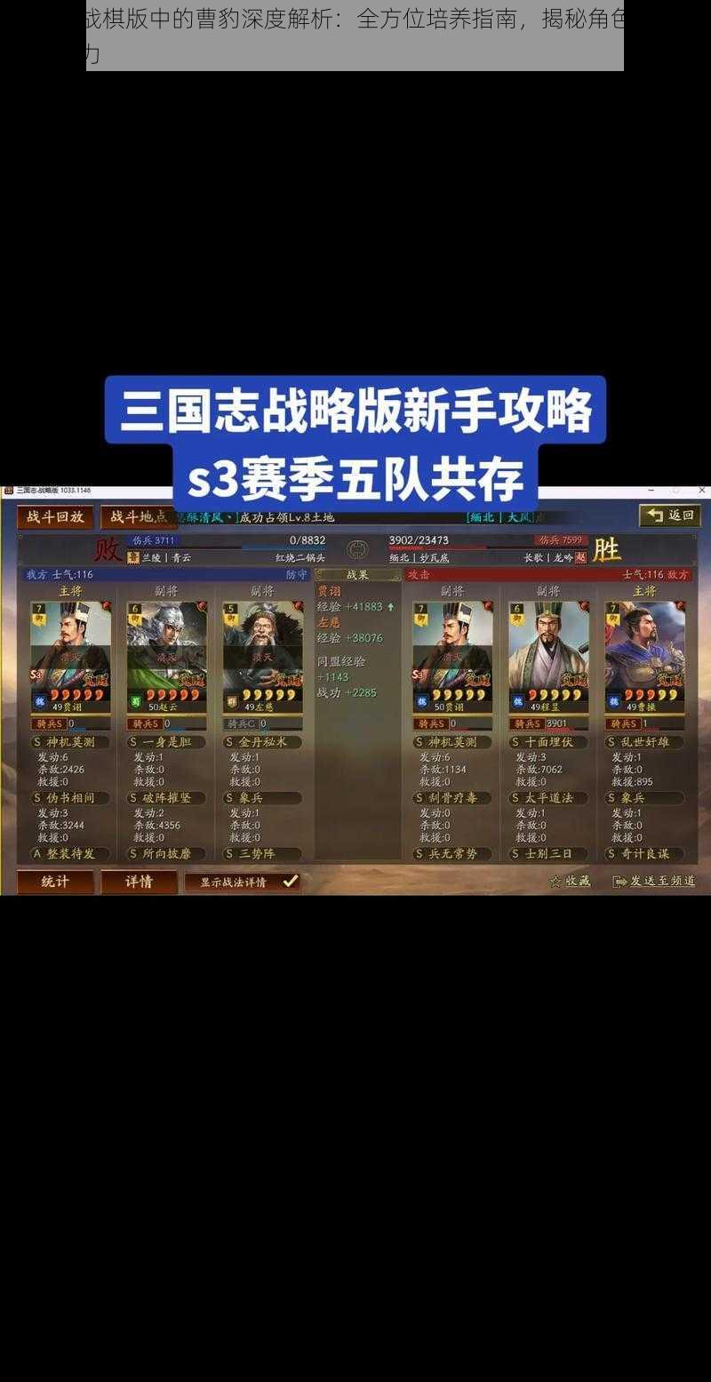 三国志战棋版中的曹豹深度解析：全方位培养指南，揭秘角色价值与发展潜力