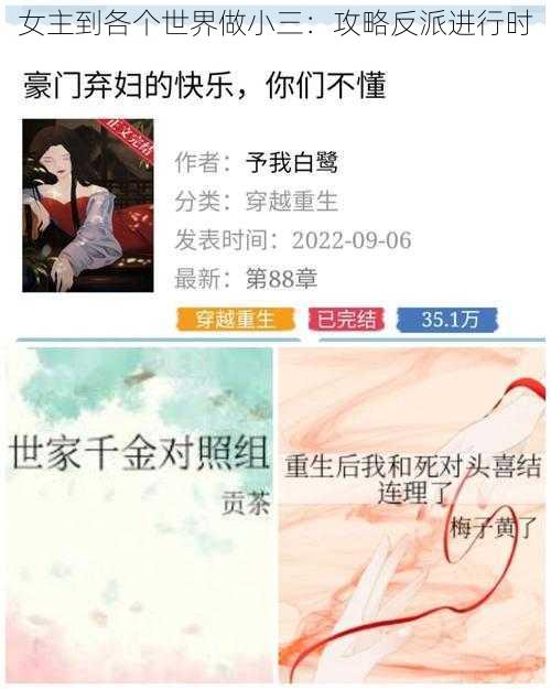 女主到各个世界做小三：攻略反派进行时