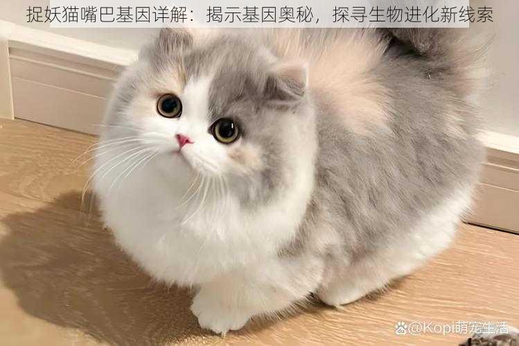 捉妖猫嘴巴基因详解：揭示基因奥秘，探寻生物进化新线索